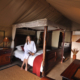 Luxury tented accommodation at Mattanu